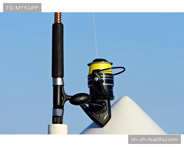 亚历山大进攻杠杆影响值1.61第二 雷霆进攻端核心驱动